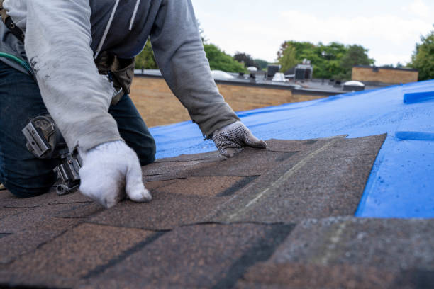 Best Roof Gutter Cleaning  in Callaway, FL